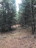 22982627