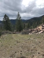 22982634