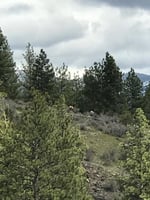 22982636