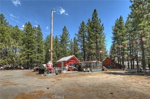 30224258