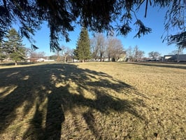 22996204