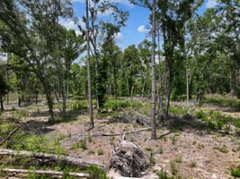 23235324