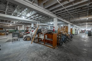 23025482