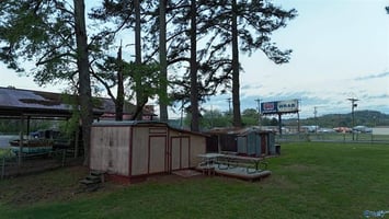 23029310