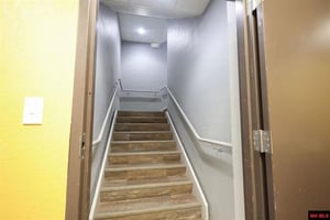 23031921