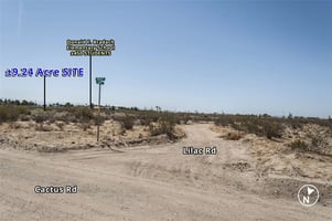 30205808