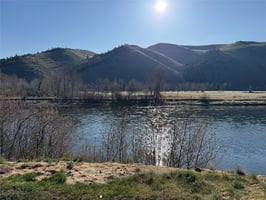 23035988