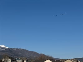 23036012