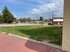 23036420