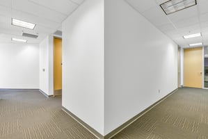 23046623