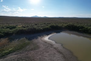23114338