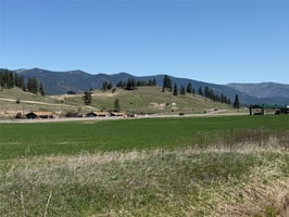 31653367