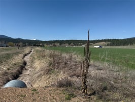 31653374