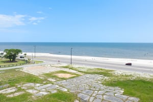 23162164