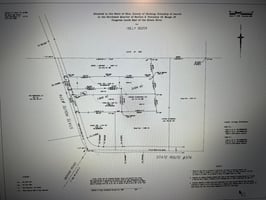 23165981