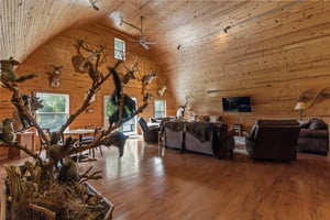 23169236
