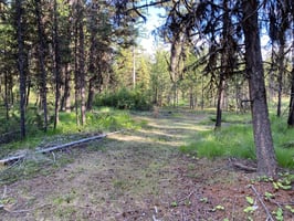 23178598