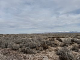 23179248