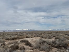 23179253