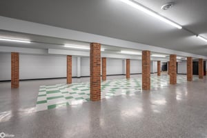 33601162