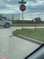 23215042