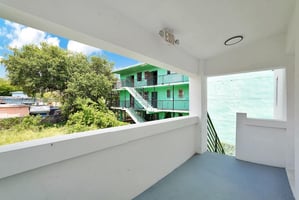 23315951