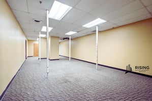23364414