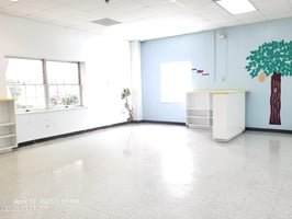 23209837