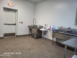 23209834