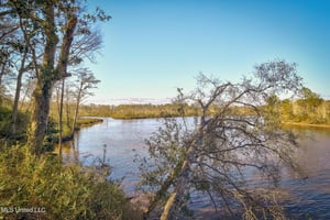 23222958