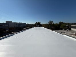 27281239