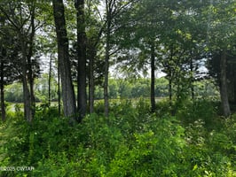 23231191