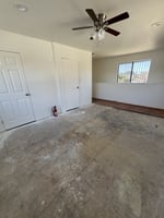 23249646
