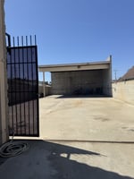 23249637