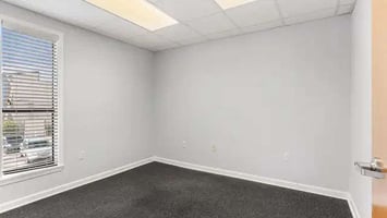 33691513