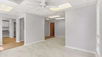 33691505