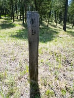 23252467