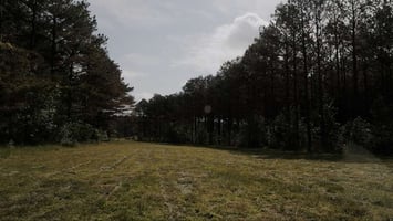 27863545