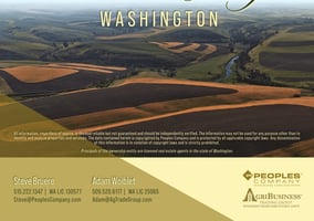 34099900