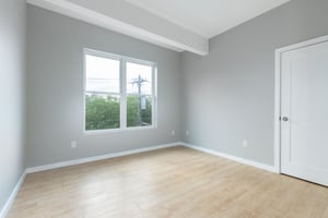 23263806