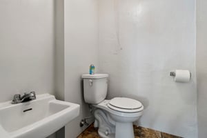 23269020
