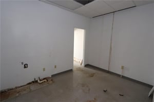 23274206