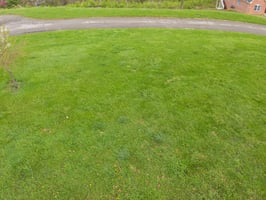 23276459