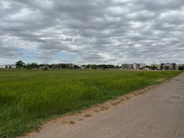 23287995