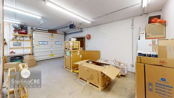 23291981