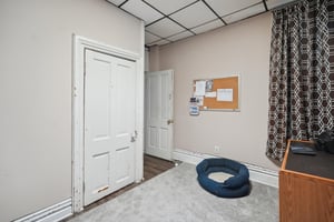 23296316