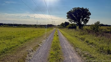32739650