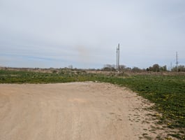 23304769