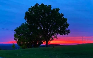 27859983
