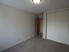 23316778